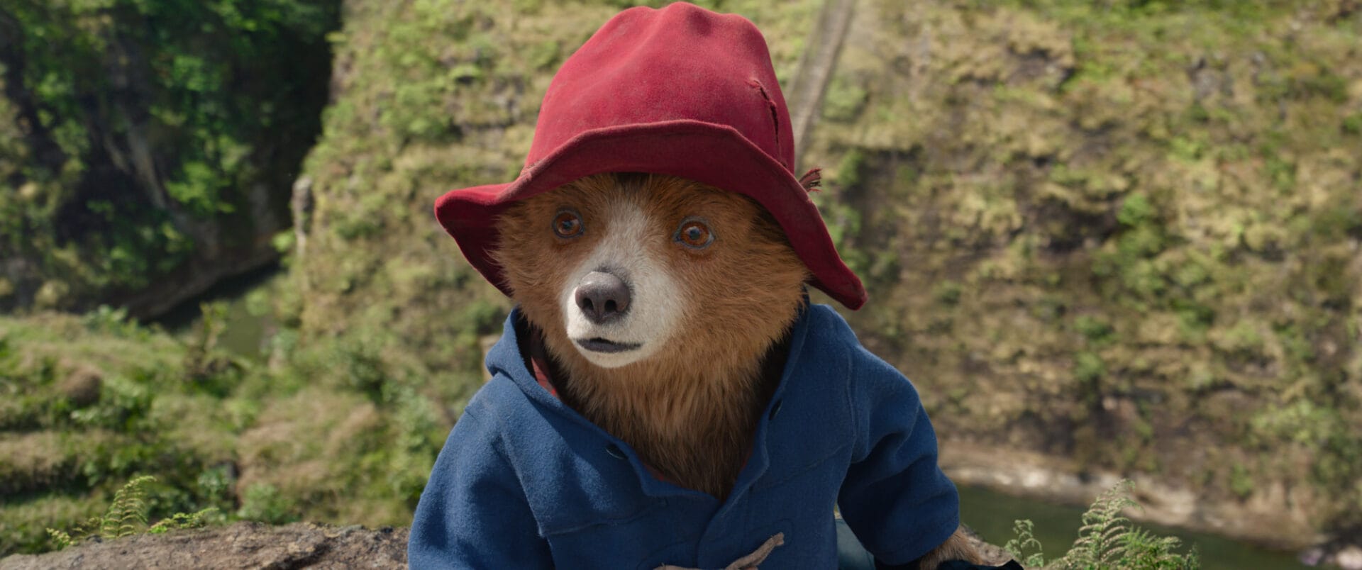 Ayı Paddington Peru'da