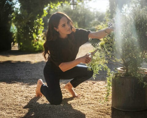 Sevgilerimle, Meghan
